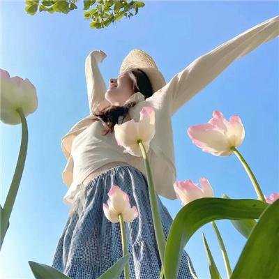 特搜9第七季